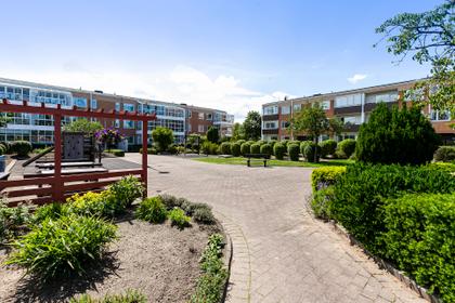 Bild av trädgården