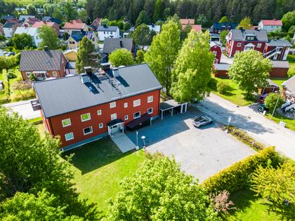 Bild av trädgården