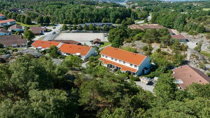 Bild av trädgården