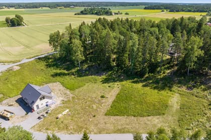 Bild av trädgården