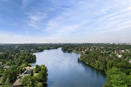 Bild av trädgården