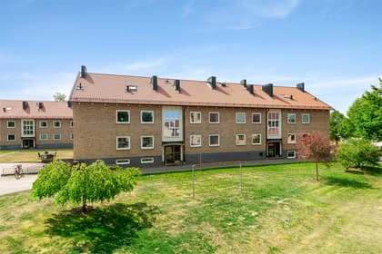 Bild av trädgården