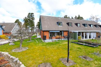 Bild av trädgården