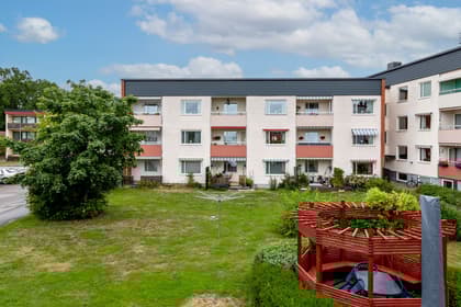 Bild av trädgården