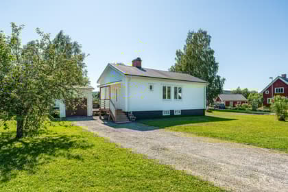 Bild av trädgården