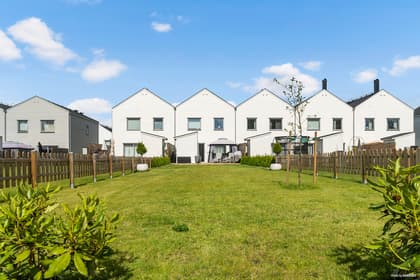 Bild av trädgården