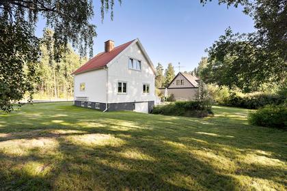 Bild av trädgården