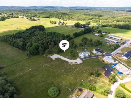 Bild av trädgården