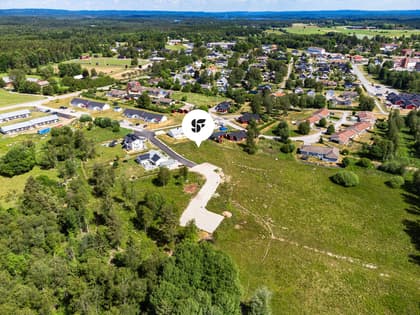 Bild av trädgården