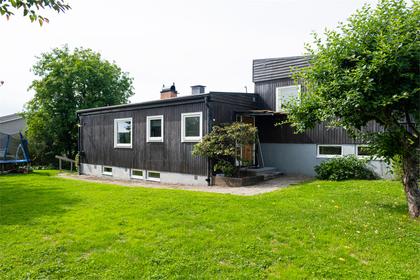 Bild av trädgården