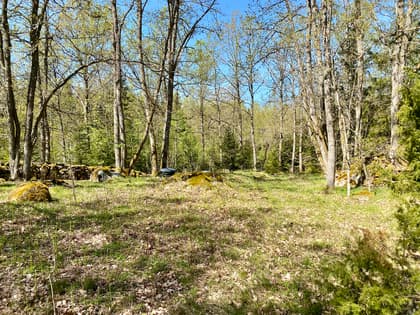 Bild av trädgården