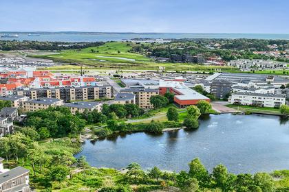 Bild av trädgården