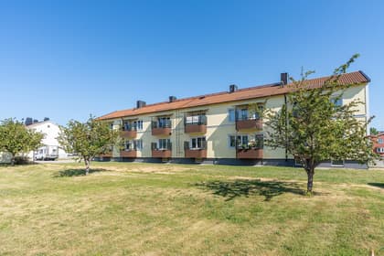 Bild av trädgården