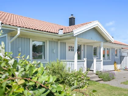 Bild av trädgården