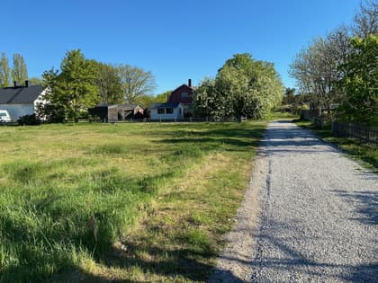 Bild av trädgården