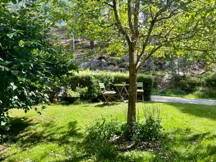 Bild av trädgården