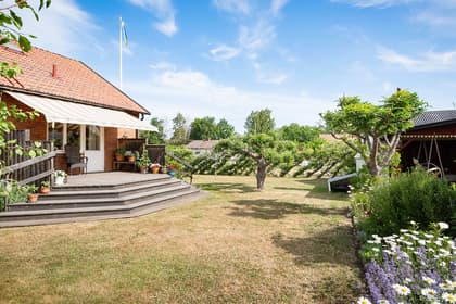 Bild av trädgården