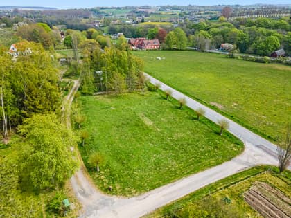 Bild av trädgården