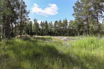 Bild av trädgården