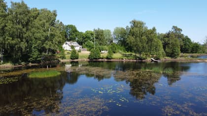 Bild av trädgården