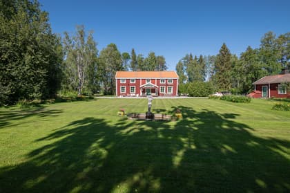 Bild av trädgården