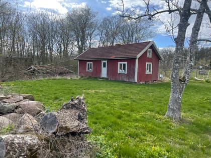 Bild av trädgården