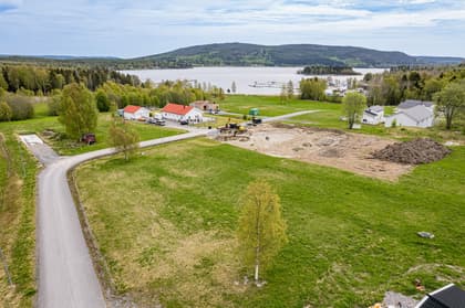 Bild av trädgården