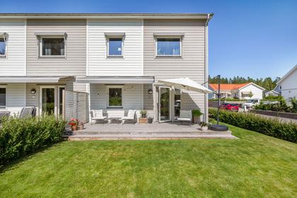 Bild av trädgården