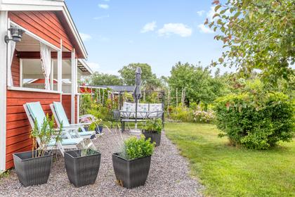 Bild av trädgården