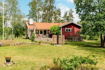 Bild av trädgården