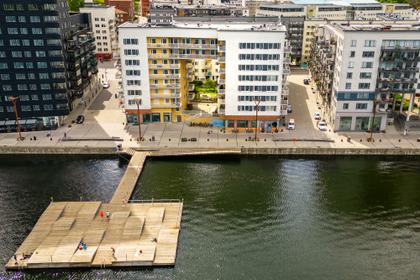 Bild av trädgården