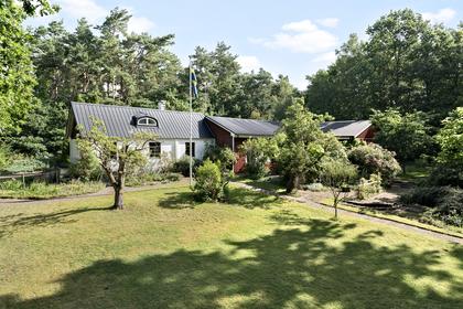 Bild av trädgården