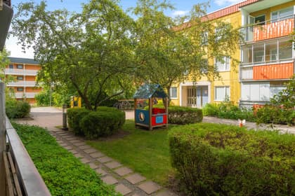 Bild av trädgården