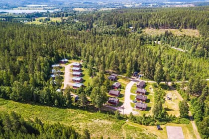 Bild av trädgården