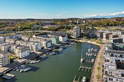 Bild av trädgården