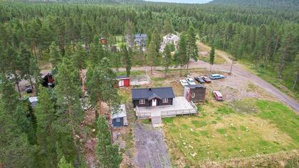 Bild av trädgården