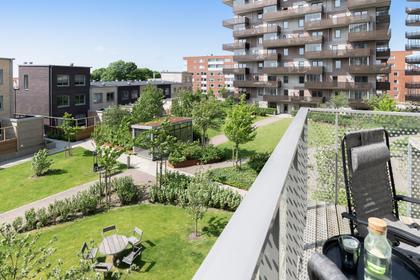 Bild av trädgården