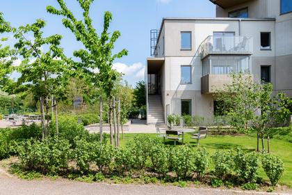 Bild av trädgården