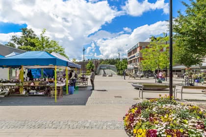 Bild av trädgården