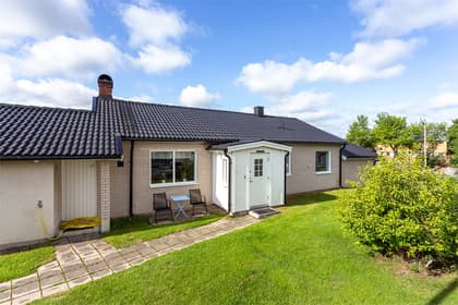 Bild av trädgården