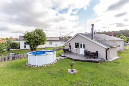 Bild av trädgården