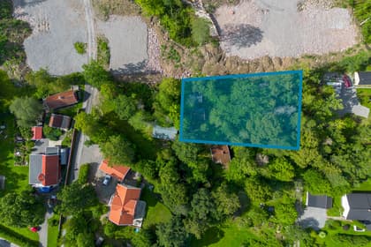 Bild av trädgården