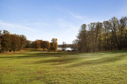 Bild av trädgården