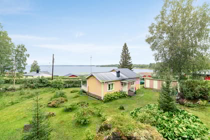 Bild av trädgården