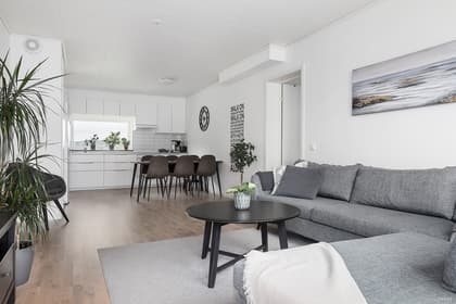 Bläshammar 11CF, Västkusten