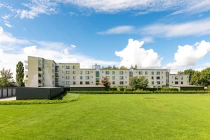 Bild av trädgården