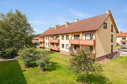 Bild av trädgården