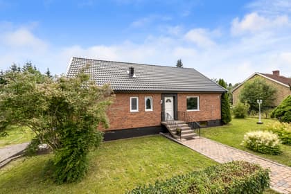 Bild av trädgården