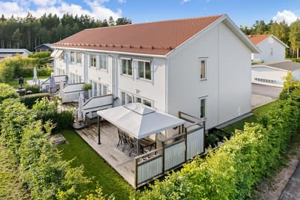 Bild av trädgården