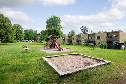 Bild av trädgården